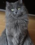 Turandot Russian Diamond (����)