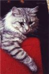 ������� ����������� �������� (����)