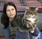 �������� ������� �������� (����)