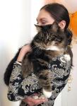 ������ ������� �������� (����)