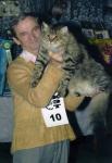 ������� ��������� ������ (����)