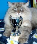 ������� ������ ���� (����)