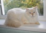 ������ �� ������� (����)