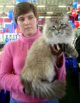 ����� ������ ���� (����)