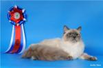 Arina Vizantiysky Podarok (����)