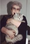 ����� �������� ����� (����)