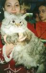 ����� �������� (����)