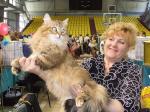 ������ �������� ����� (����)