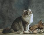 ������ ���� ����� (����)