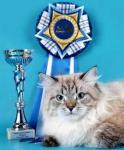 Bianka Nevskaya Klassika (����)