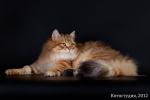 Angelur Bazilika of Manchzhury (����)