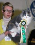 ���� �����-���� (����)