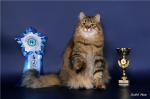 ����� ������-���.*RU (����)