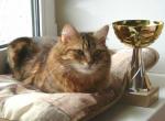 Nastena Volzhskaya Krasa (����)