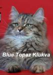 Blue Topaz Klukva ()