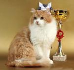 Zharok Knyaz Gvidon*RU (����)