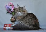Carmella-Carolina Slavicat (����)