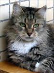 Margarita (����)