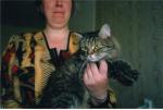������ ������� ������ (����)