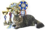 ���� ����������� �������� (����)