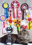 Bulochka Sibirskaya Lada (����)