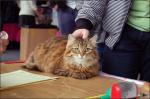 Evelina Slavicat (����)