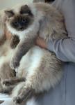 �������� �� ������� (����)