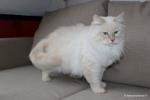 ��a� ������� ������ �� �������� (����)