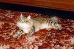 ������ Itamkhash de Germinal (����)