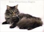 Rolan Polnochnaya Magiya (����)