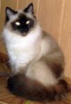 ��������� �������� �� ������� ��� (����)