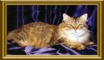 EARL Martin Valenvic (����)