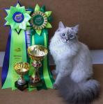 ������� ������� ������� (����)