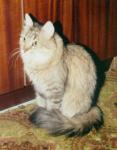 Indiana Abakan (����)