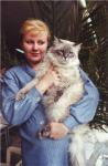 ����� ������� ���� (����)