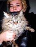 Tim (����)