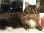 �������� � ������� ���� (����)