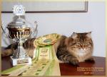 ���� ������� ������������ (����)