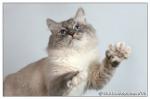 ������� ������ �� ����� ������ (����)