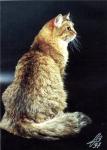 ������� ������� ������� (����)