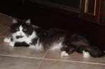 ������ Russian Diamond (����)