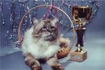 Morris (����)