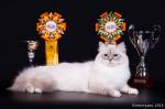 �������� ������� (����)