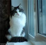 Businka Sladkoe Pyatnyshko (����)