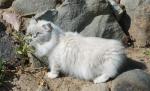 ������  ���-������ (����)