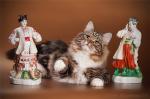 ������� ������ ������ �� ������ (����)