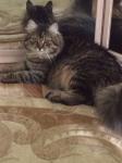 ������-���� ������ (����)