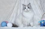 �������� �� ��������� ��������� (����)