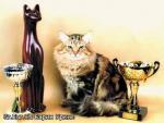 ����� ����� (����)