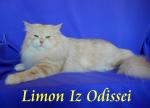 Limon Iz Odissei (����)